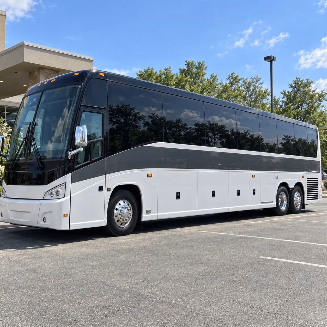 56 passenger charter bus