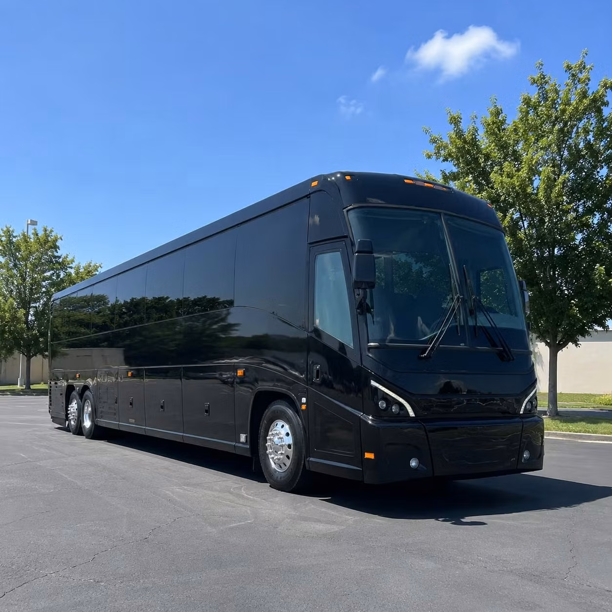 mcallen government bus rentals